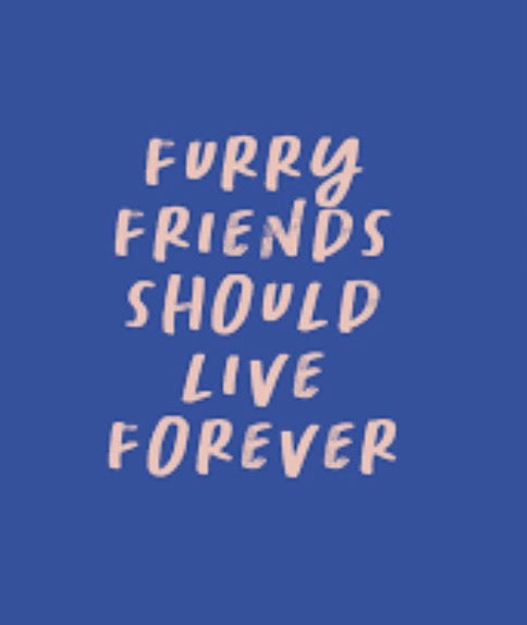Kaart blanche - furry friends should live forever