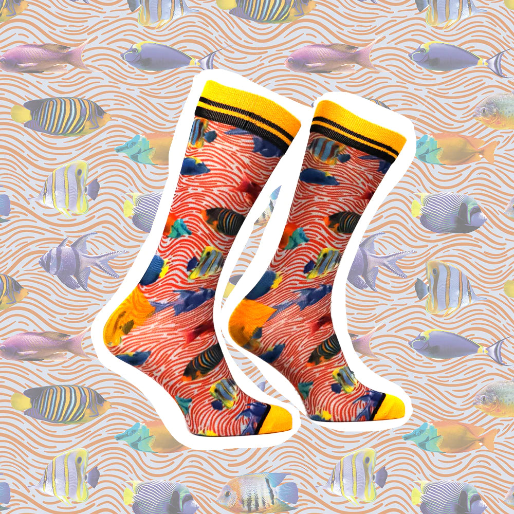 Sock my feet sokken -Sock my Fish