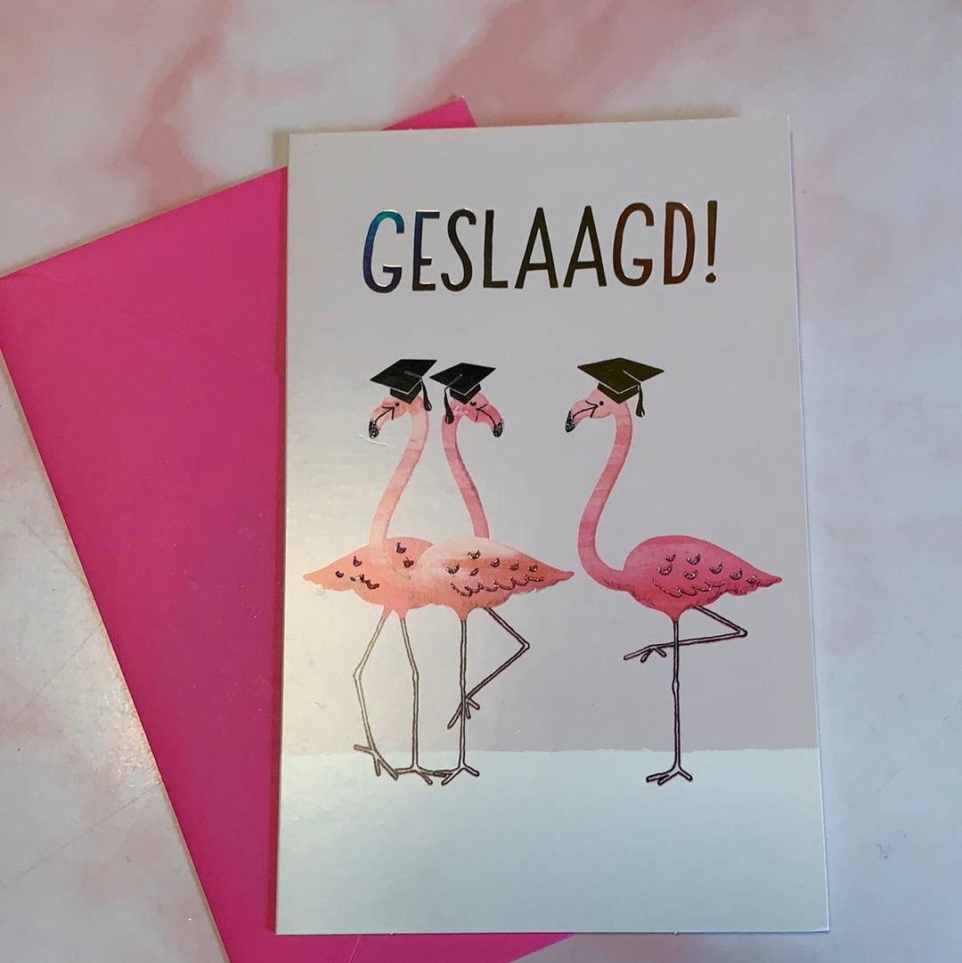 Wenskaart Hallmark Geslaagd ! - Amazing wardrobe