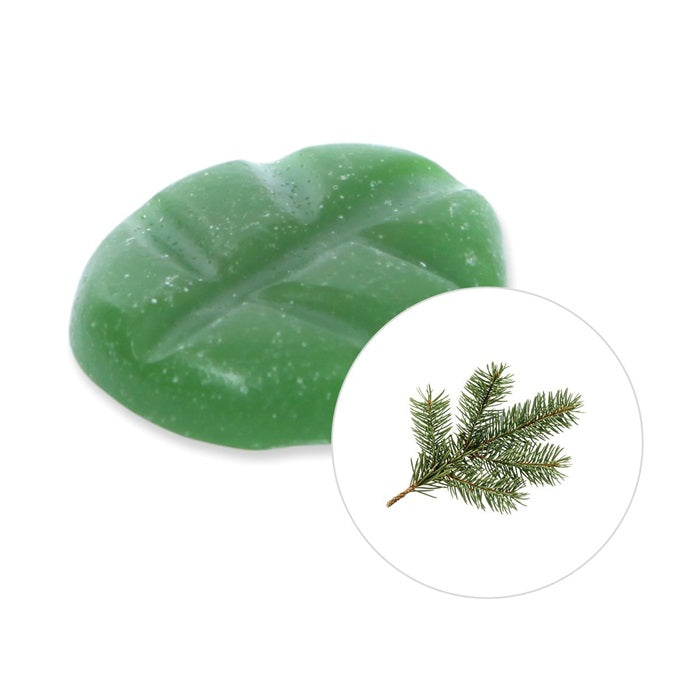 Scentchips Pine