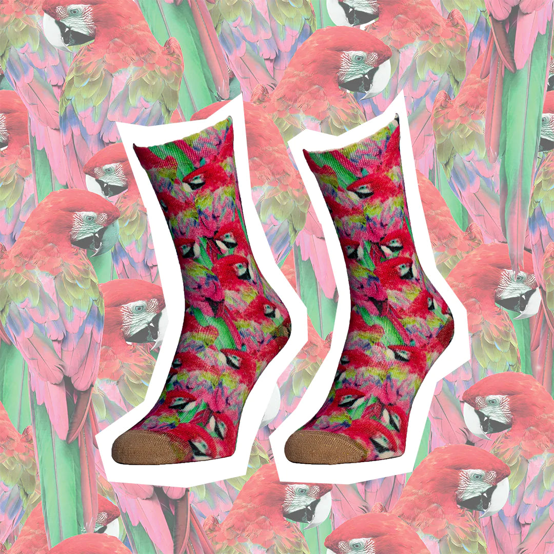 Sokken Sock my feet - Sock my parrot - Amazing wardrobe